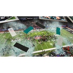 Philadelphia Eagles Super Bowl Champions Authentic Confetti Framed 16x20 Collage