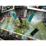 Philadelphia Eagles Super Bowl Champions Authentic Confetti Framed 16x20 Collage