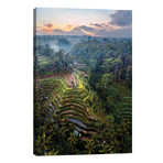 Rice Terraces Of Bali IV // Matteo Colombo (12"W x 18"H x 0.75"D)
