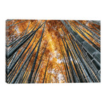 Kyoto Bamboo Forest II // Philippe Hugonnard (18"W x 12"H x 0.75"D)