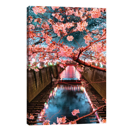 Cherry Blossom At Meguro Canal III // Philippe Hugonnard (12"W x 18"H x 0.75"D)