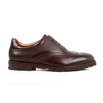 Wing Tip Shoes // Brown (Euro: 43)