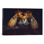 Owl On Fire (18"W x 12"H x 0.75"D)