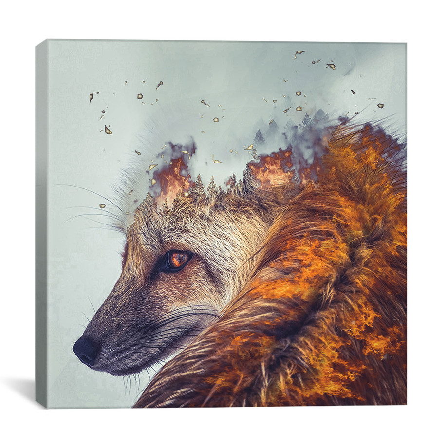 Paul Haag Double Exposure Canvas Prints Touch of Modern