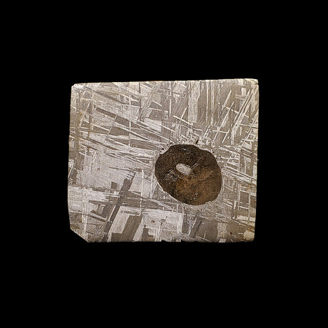 Muonionalusta Meteorite Slice with Triolite