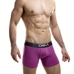 Boxer Briefs // Purple (XL)