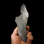 Muonionalusta Meteorite End Cut // Ver. 2