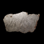 Muonionalusta Meteorite End Cut // Ver. 1