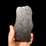 Muonionalusta Meteorite End Cut // Ver. 1