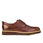 Collin Shoes // Brown (Euro: 40)