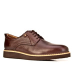 Collin Shoes // Brown (Euro: 43)
