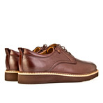 Collin Shoes // Brown (Euro: 41)