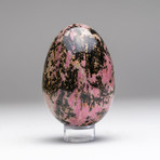 Imperial Rhodonite Egg + Acrylic Display Stand