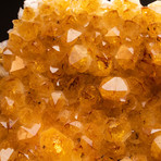 Genuine Citrine Crystal Cluster