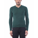 Austin Slimfit V Neck Knit Sweater // Green (M)