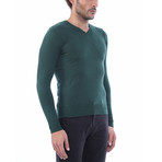 Austin Slimfit V Neck Knit Sweater // Green (L)