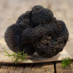 Fresh Black "Périgord" Winter Truffle // 2-3 Truffles
