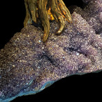 Tree of Serenity - Amethyst Petals on an Amethyst Matrix // Two Trees on Amethyst Matrix
