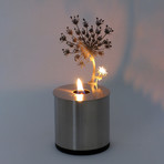 Lumen Flame + 2 Fuel Cell Refills // Bloom