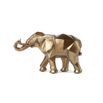 Exploring Elephant // Gold