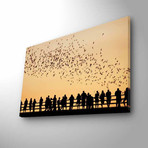 Flock of Birds // Silhouette