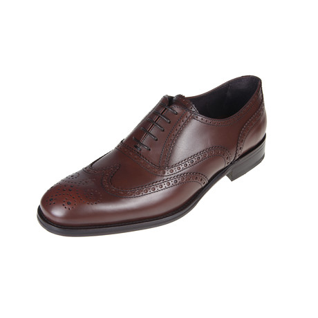 Critia Brogue Shoe // Brown (Euro: 40)