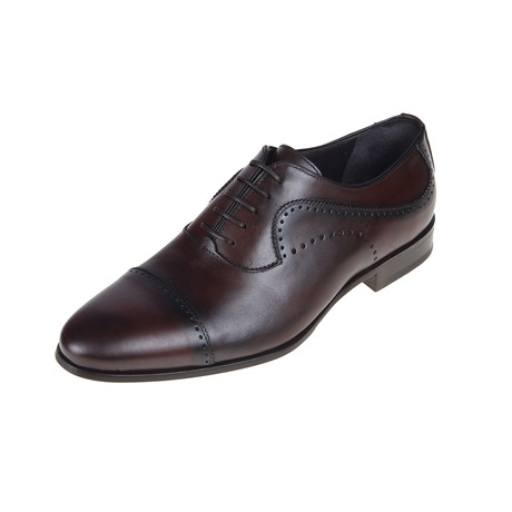 Avanta Oxford Shoe // Brown (Euro: 40)