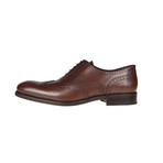 Critia Brogue Shoe // Brown (Euro: 43)