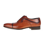 Cuervo Oxford Shoe // Tan (Euro: 42)