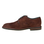 Jark Derby Shoe // Brown (Euro: 44)