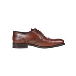 Denfo Brogue Shoe // Tan (Euro: 41)