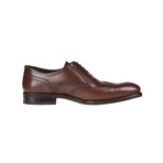 Critia Brogue Shoe // Brown (Euro: 43)