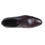 Avanta Oxford Shoe // Brown (Euro: 40)