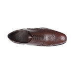 Critia Brogue Shoe // Brown (Euro: 43)