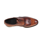 Winsa Brogue Shoe // Tan (Euro: 44)