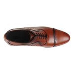 Cuervo Oxford Shoe // Tan (Euro: 42)