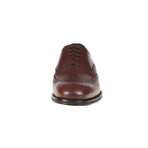 Critia Brogue Shoe // Brown (Euro: 43)