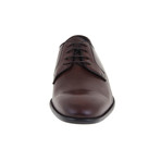 Javi Derby Shoe // Brown (Euro: 45)