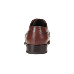 Denfo Brogue Shoe // Tan (Euro: 41)