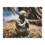 Autographed Photo // Star Wars "Yoda" // Deep Roy // Ver. I