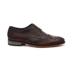 Annotation Wingtip Derby // Espresso (US: 11)