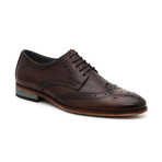 Annotation Wingtip Derby // Espresso (US: 11)