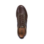 Redward A  Sneaker // Dark Coffee (Euro: 46)