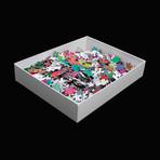 1000 Changing Colors