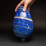 Huge Lapis Lazuli Egg + Acrylic Display Stand