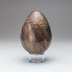 Polychrome Jasper Egg + Acrylic Display Stand