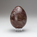 Petrified Wood Egg + Acrylic Display Stand