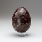 Petrified Wood Egg + Acrylic Display Stand