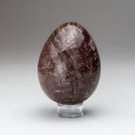 Petrified Wood Egg + Acrylic Display Stand