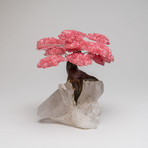 The Tree of Light // Genuine Rose Quartz Tree + Clear Quartz Matrix // X-Large